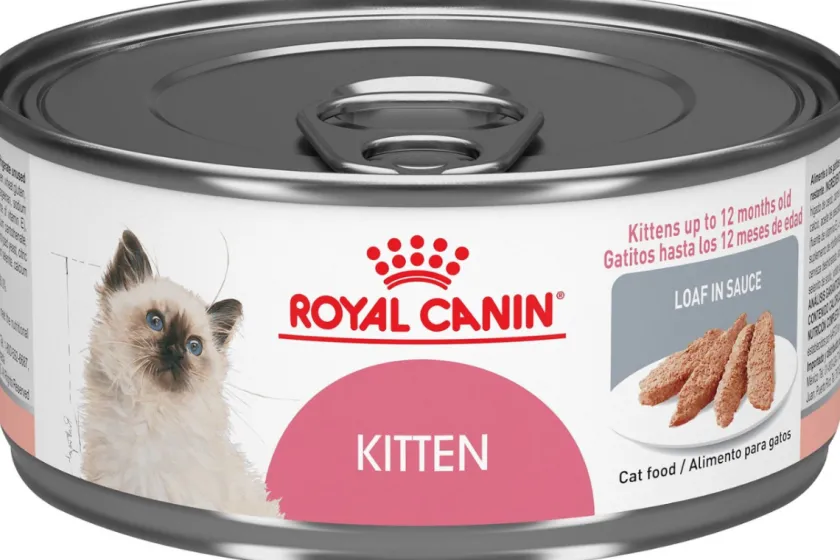 Royal Canin Húmedos^Latas Gatito Kitten Pate Pack 24 Unidades