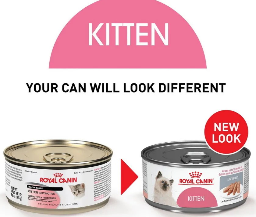 Royal Canin Húmedos^Latas Gatito Kitten Pate Pack 24 Unidades