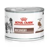 Royal Canin Alimentación Medicada^Latas Vet Diet Recovery Feline - Canine 145gr