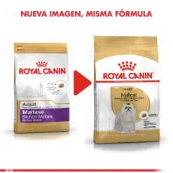 Royal Canin Específicos Para Razas^Maltes Adulto 1kg
