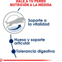 Royal Canin Senior (+7 Años)^Maxi 5+ 15kg