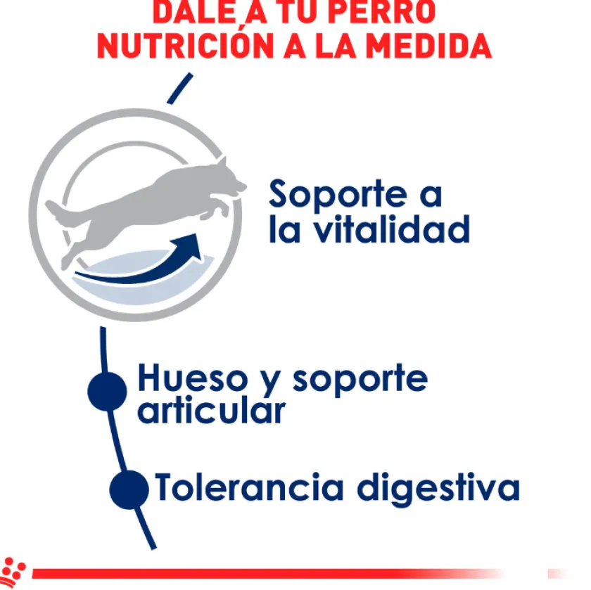 Royal Canin Senior (+7 Años)^Maxi 5+ 15kg