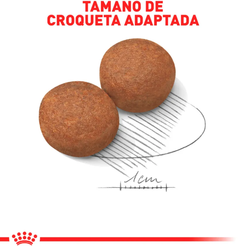 Royal Canin Adultos (1 A 7 Años)^Maxi Adulto 15kg