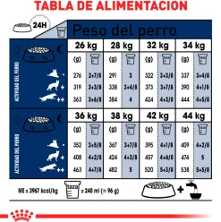 Royal Canin Adultos (1 A 7 Años)^Maxi Adulto 15kg
