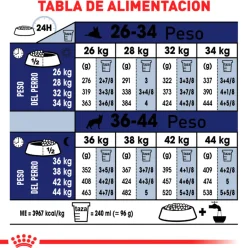 Royal Canin Adultos (1 A 7 Años)^Maxi Adulto 15kg