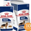 Royal Canin Húmedos^Maxi Adulto Pouch 140gr x 10 unidades