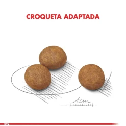 Royal Canin Cachorros (0 A 12 Meses)^Maxi Junior 15kg