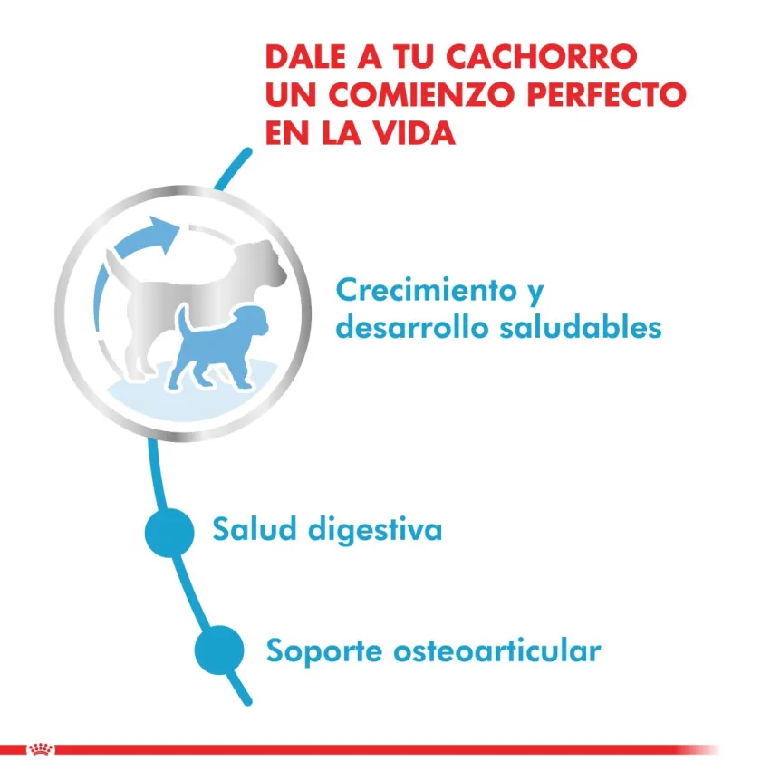 Royal Canin Cachorros (0 A 12 Meses)^Maxi Junior 15kg
