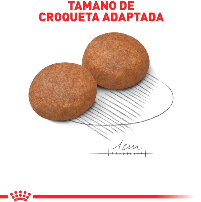 Royal Canin Adultos (1 A 7 Años)^Medium Adulto 2.5kg
