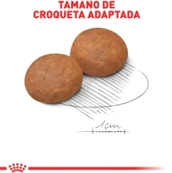 Royal Canin Adultos (1 A 7 Años)^Medium Adulto 15kg