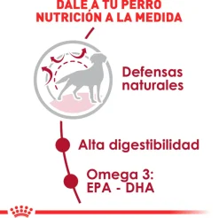 Royal Canin Adultos (1 A 7 Años)^Medium Adulto 15kg