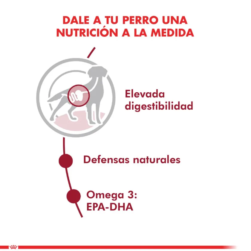 Royal Canin Húmedos^Medium Adulto Pouch 140gr