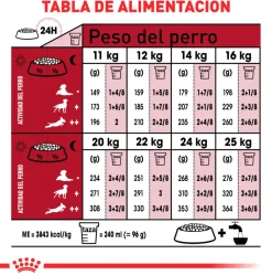 Royal Canin Adultos (1 A 7 Años)^Medium Adulto 15kg