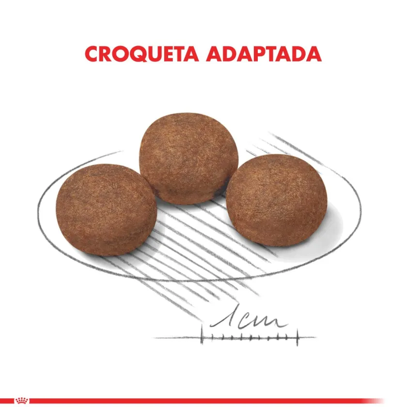 Royal Canin Cachorros (0 A 12 Meses)^Medium Junior 2.5kg