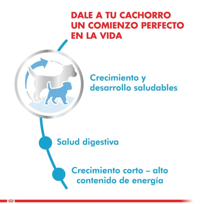 Royal Canin Cachorros (0 A 12 Meses)^Medium Junior 15kg