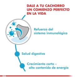 Royal Canin Húmedos^medium Puppy Pouch 140gr x 5 unidades