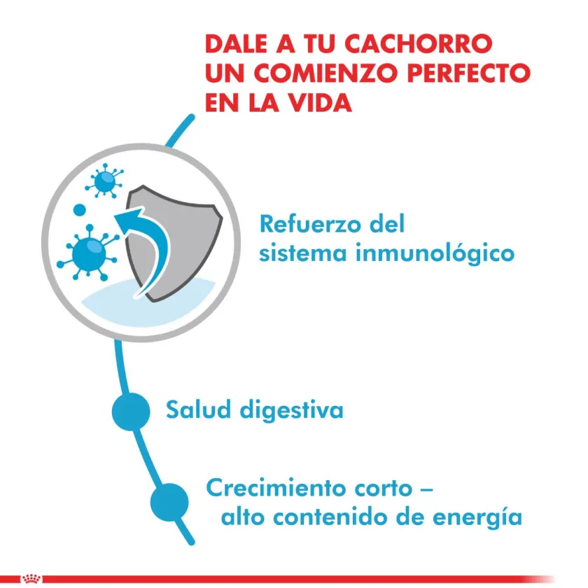Royal Canin Húmedos^medium Puppy Pouch 140gr x 5 unidades