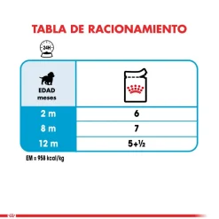 Royal Canin Húmedos^medium Puppy Pouch 140gr x 5 unidades