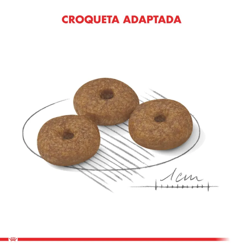 Royal Canin Senior (+7 Años)^Mini Adulto 12+ 2.5kg