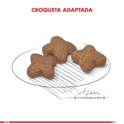 Royal Canin Senior (+7 Años)^Mini Adulto 8+ 1kg