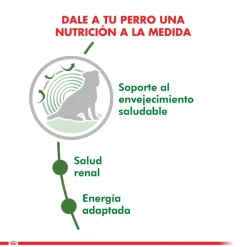 Royal Canin Senior (+7 Años)^Mini Adulto 12+ 2.5kg