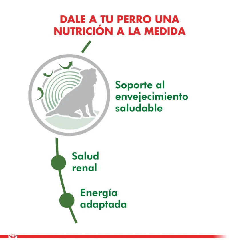 Royal Canin Senior (+7 Años)^Mini Adulto 12+ 2.5kg