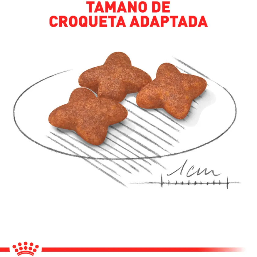 Royal Canin Adultos (1 A 7 Años)^Mini Adulto 3kg