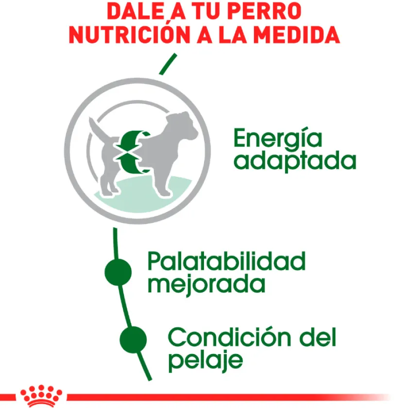 Royal Canin Adultos (1 A 7 Años)^Mini Adulto 7.5kg