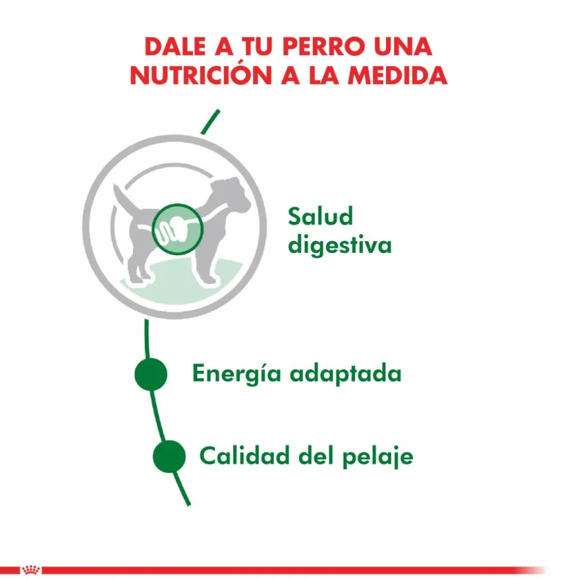Royal Canin Húmedos^Mini Adulto Pouch 85gr