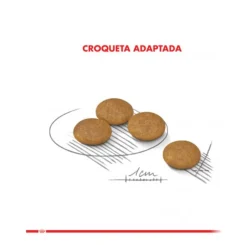 Royal Canin Adultos (1 A 7 Años)^Mini Dermaconfort 2.5kg