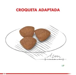 Royal Canin Cachorros (0 A 12 Meses)^Mini Junior 8kg
