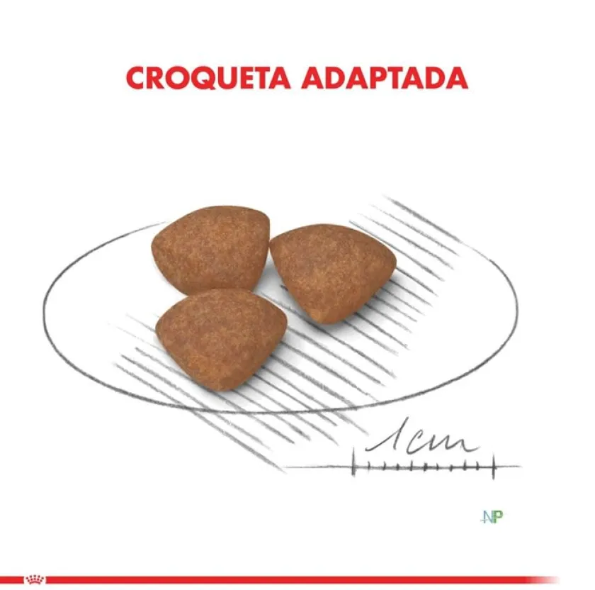 Royal Canin Cachorros (0 A 12 Meses)^Mini Junior 8kg