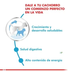 Royal Canin Cachorros (0 A 12 Meses)^Mini Junior 8kg