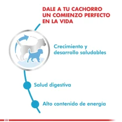 Royal Canin Cachorros (0 A 12 Meses)^Mini Junior 7.5kg