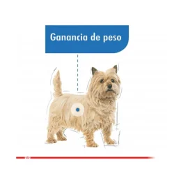 Royal Canin Control Peso^Mini Light 2.5kg