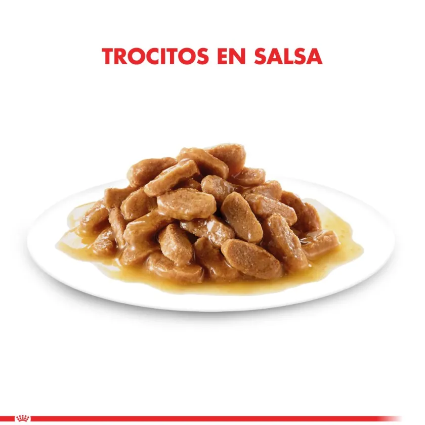 Royal Canin Húmedos^Mini Puppy Pouch 85gr