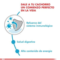 Royal Canin Húmedos^Mini Puppy Pouch Pack 12 Unidades