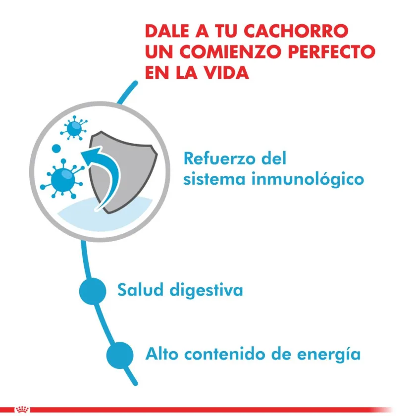 Royal Canin Húmedos^Mini Puppy Pouch Pack 12 Unidades
