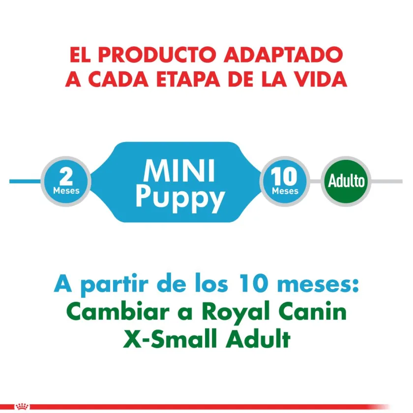 Royal Canin Húmedos^Mini Puppy Pouch Pack 12 Unidades
