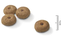 Royal Canin Adultos (1 A 7 Años)^Mini Sterilised 2.5kg