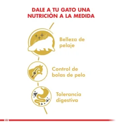 Royal Canin Específicos Para Razas^Persian 1.5kg