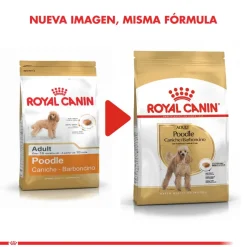 Royal Canin Específicos Para Razas^Poodle Adulto 3kg