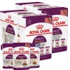 Royal Canin Húmedos | Galletas^Pouch pack Sensory Mix 85 grs x 12