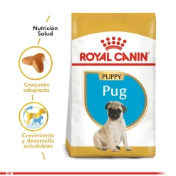 Royal Canin Específicos Para Razas^Pug Junior 2.5kg