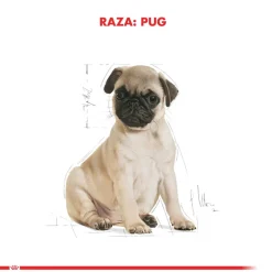 Royal Canin Específicos Para Razas^Pug Junior 2.5kg