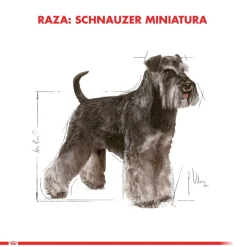 Royal Canin Específicos Para Razas^Schnauzer Adulto 2.5kg