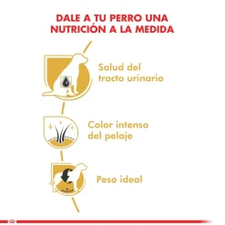 Royal Canin Específicos Para Razas^Schnauzer Adulto 3kg