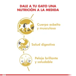 Royal Canin Específicos Para Razas^Siamese 1.5kg