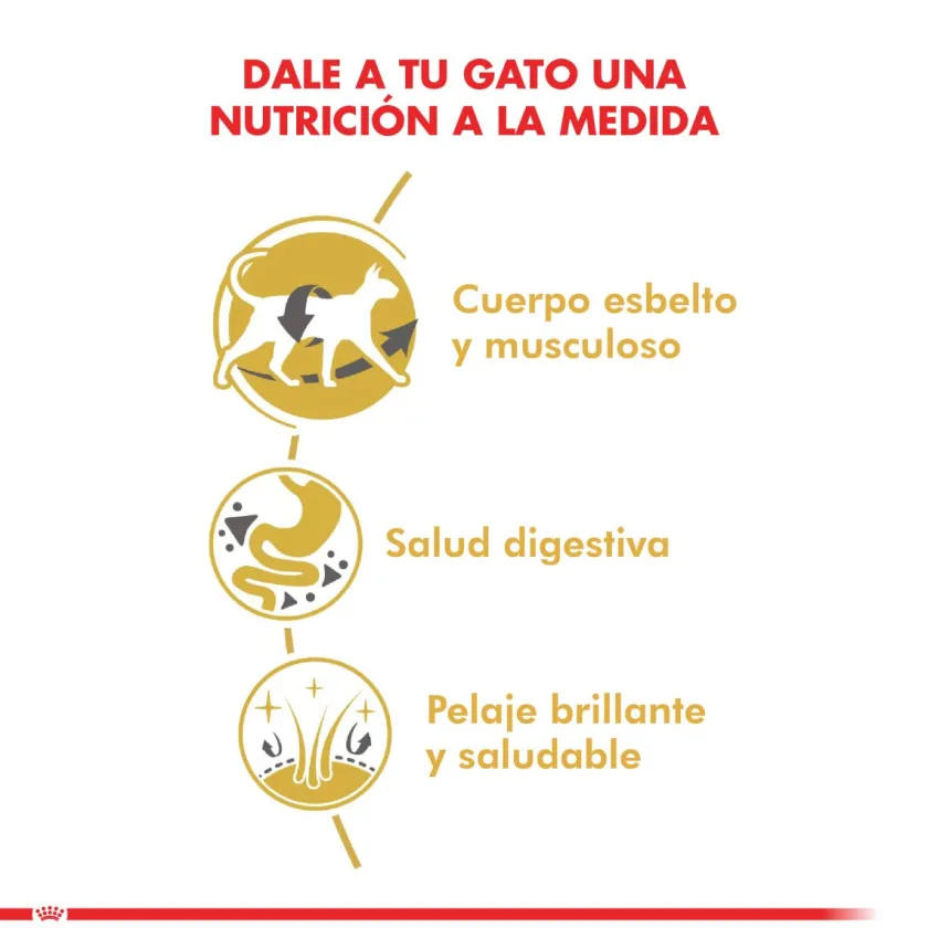 Royal Canin Específicos Para Razas^Siamese 1.5kg