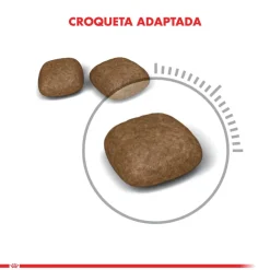 Royal Canin Adultos (1 A 7 Años)^Urinary Care 1.5kg